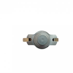 Termóstato Bosch 00496982 - Esquentador